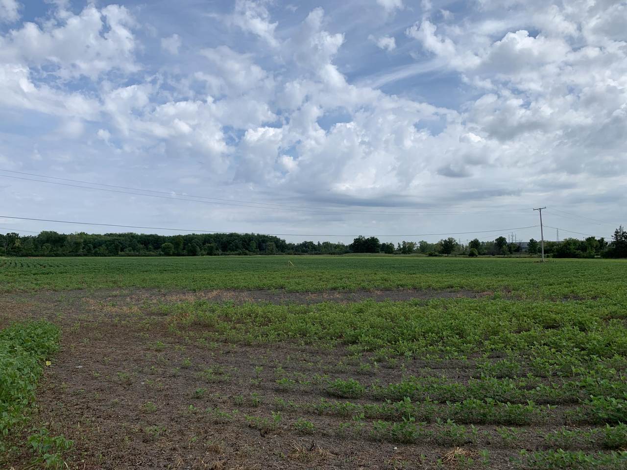 https://bt-photos.global.ssl.fastly.net/swmich/1280_boomver_1_26004452-2.jpg