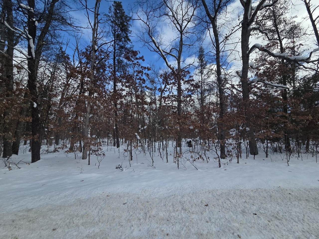 V/L Astor Rd. - Photo 1