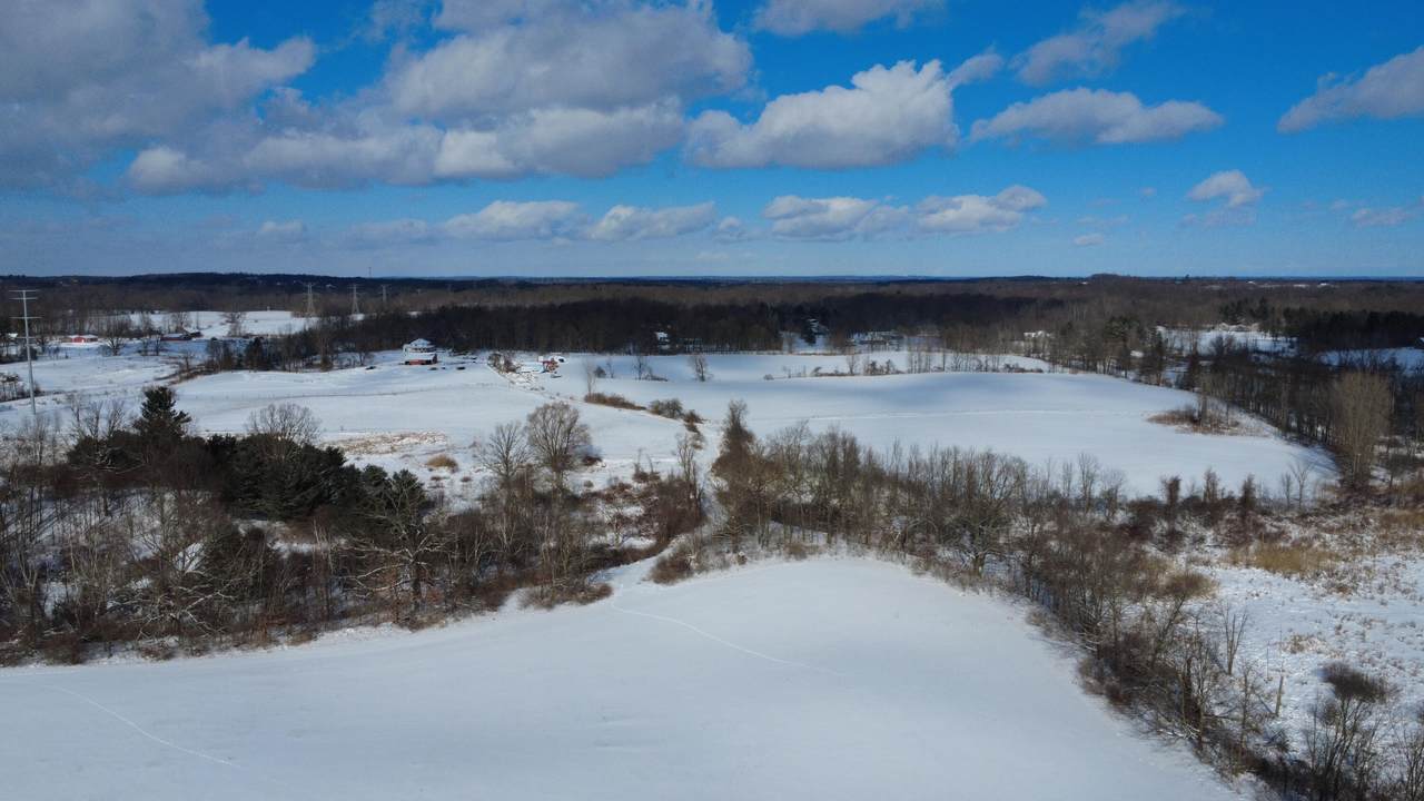 TBD Bordman Road - Photo 1