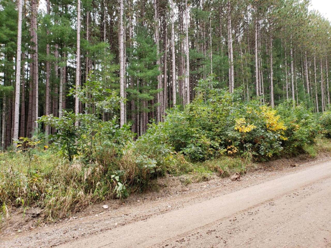 V/L Lakola Road - Photo 1