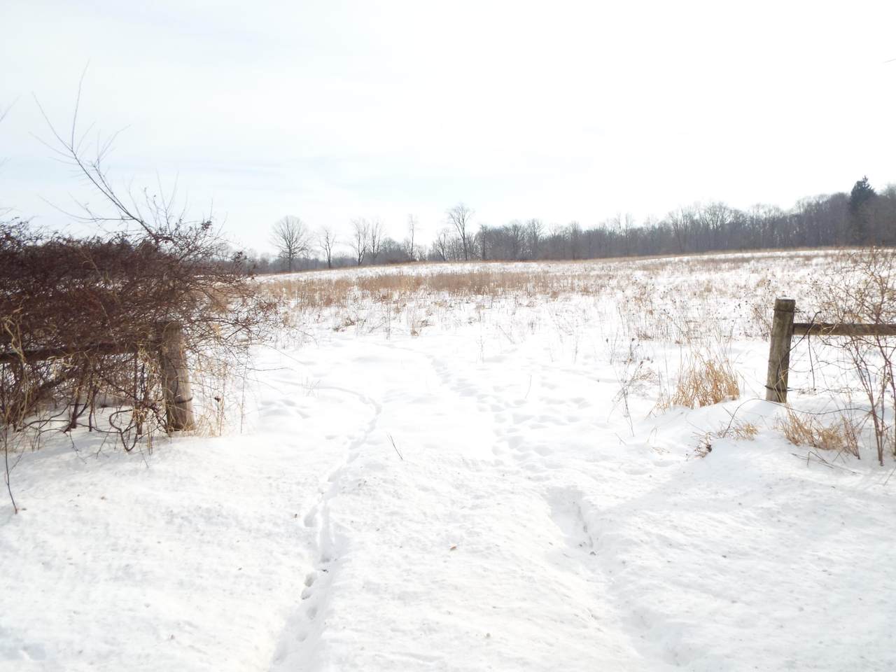 B Peacock Road - Photo 1