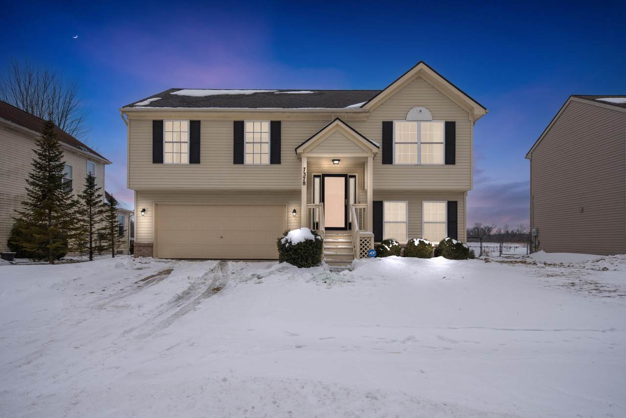 7378 Maplelawn Drive - Photo 1