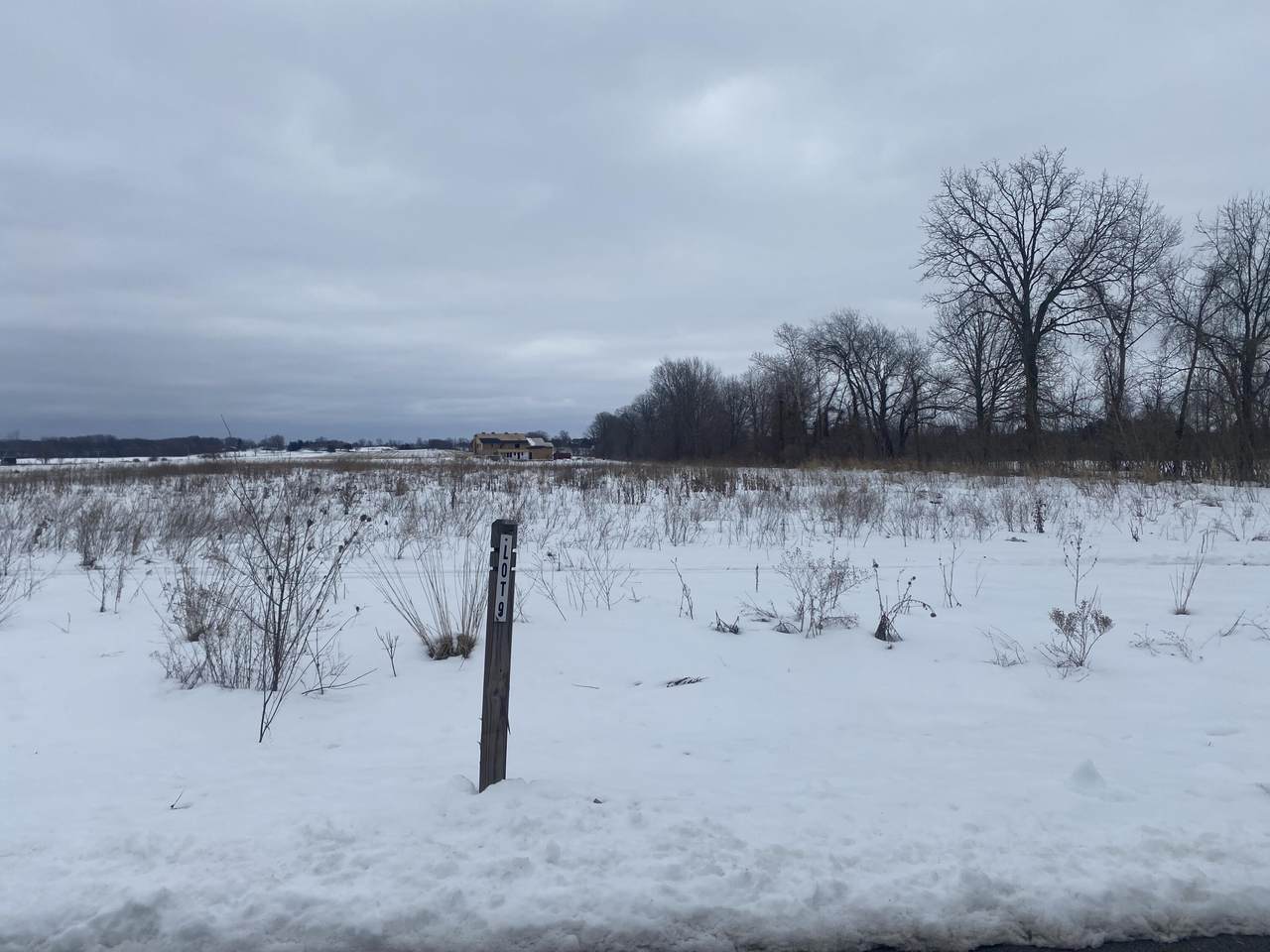 2804 Cicada Lane - Photo 1