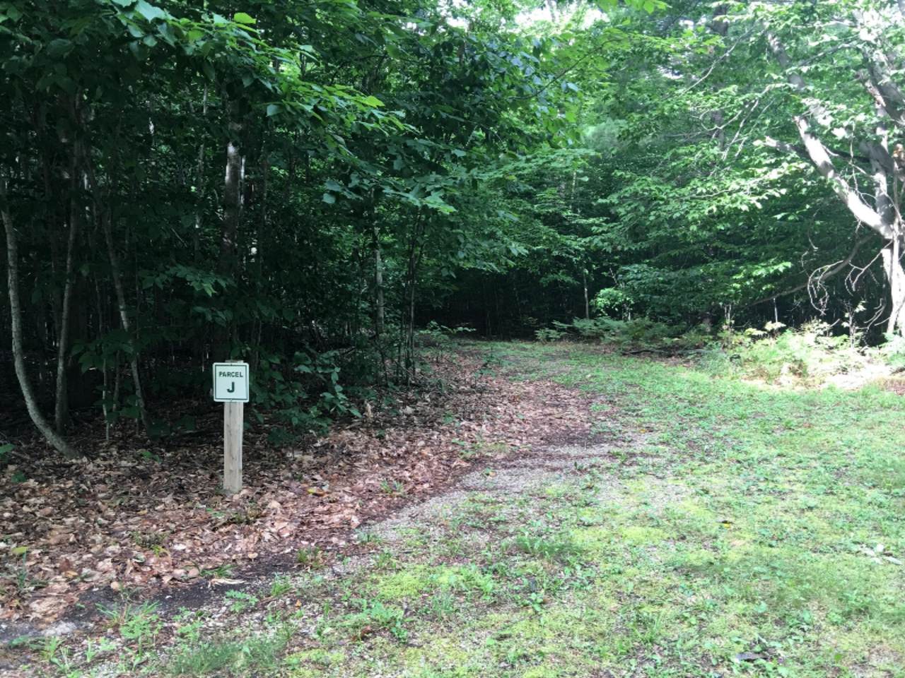  Wildwood Trail - Photo 1