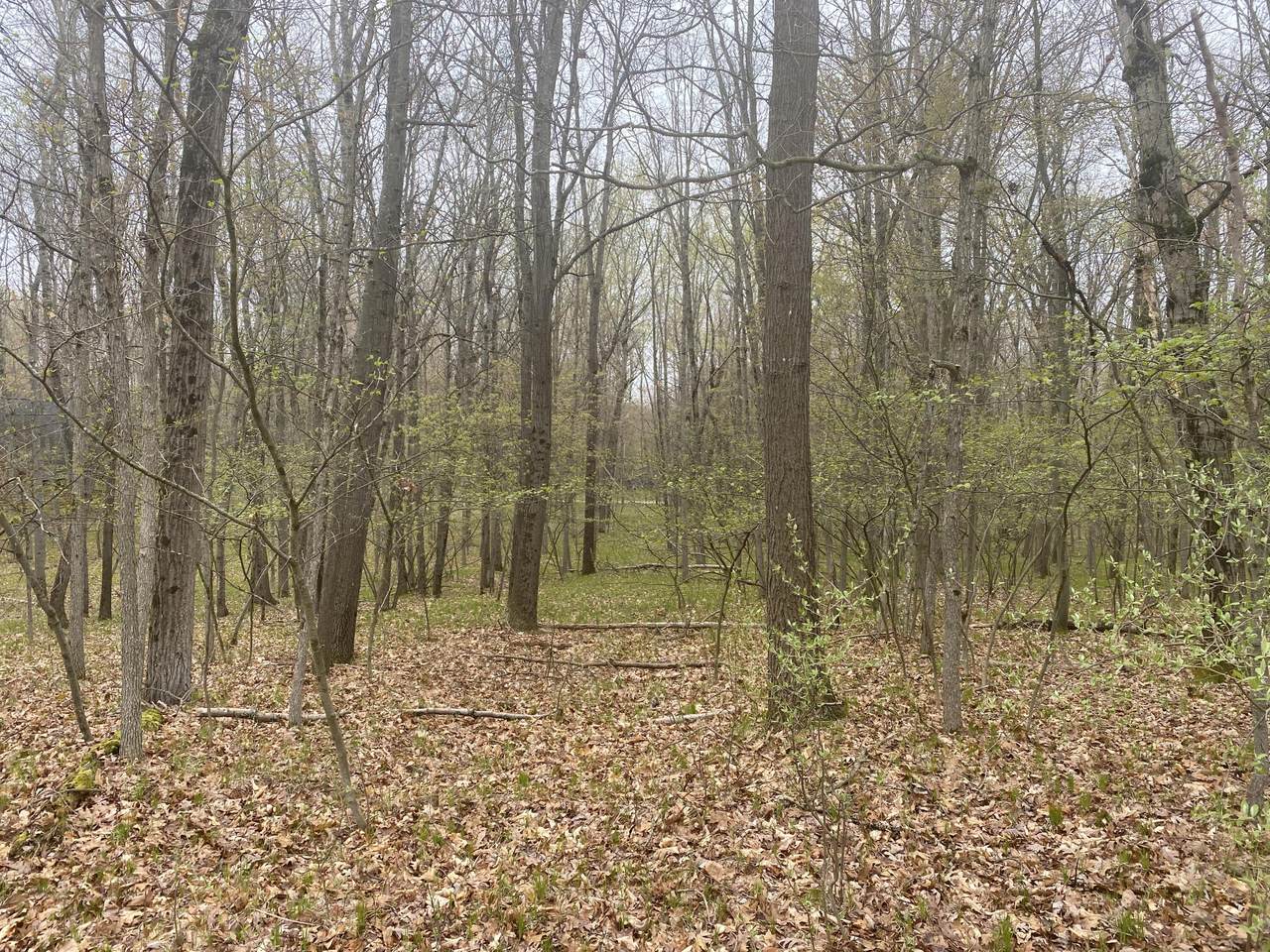 12075 Halifax Drive - Photo 1