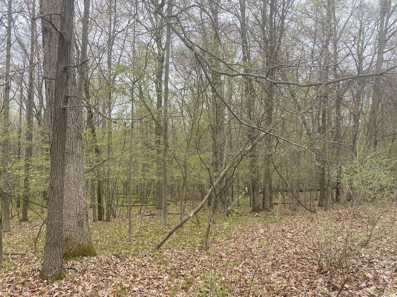 https://bt-photos.global.ssl.fastly.net/swmich/1280_boomver_1_26005704-2.jpg