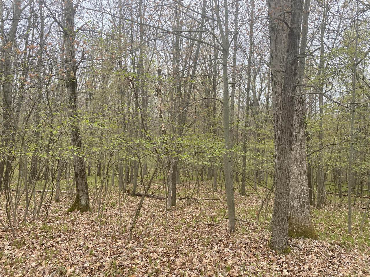 https://bt-photos.global.ssl.fastly.net/swmich/1280_boomver_1_26005704-2.jpg