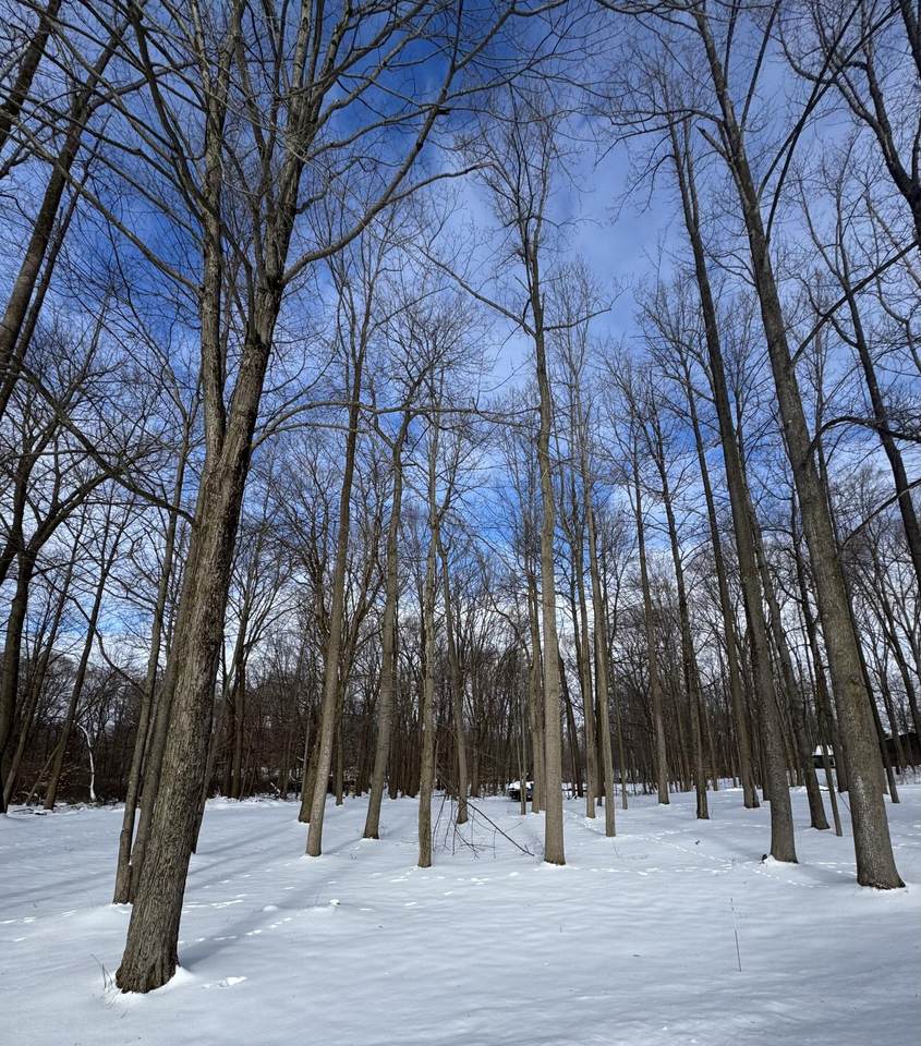 V/L Timberlane Drive - Photo 1