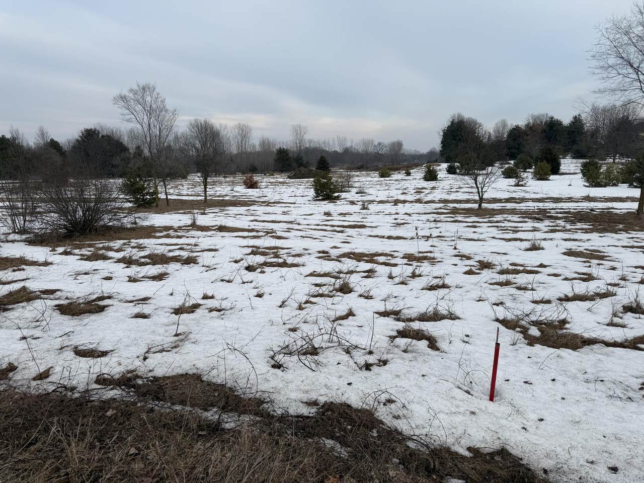 15680 Tyrone Avenue - Photo 1