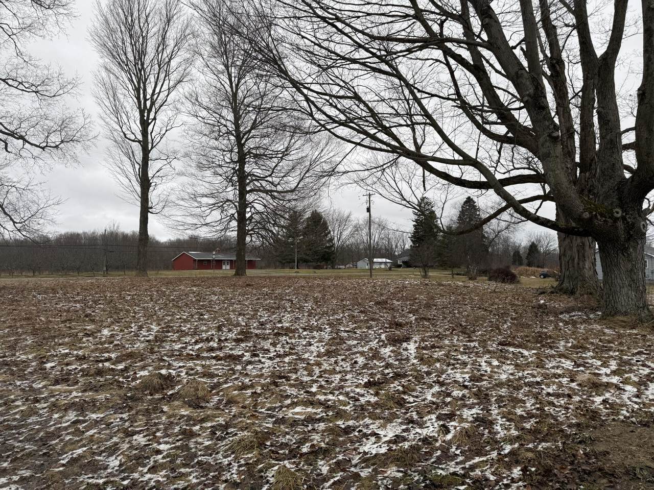 24990 County Road 687 - Photo 1