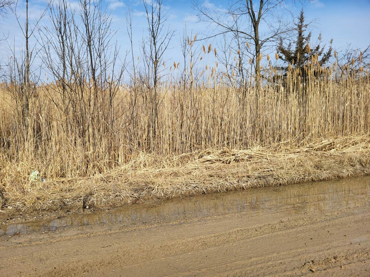 0 Carleton West Road - Photo 1