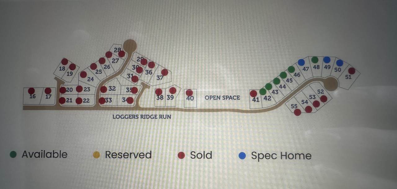 6769 Loggers Rdg Run - Photo 1