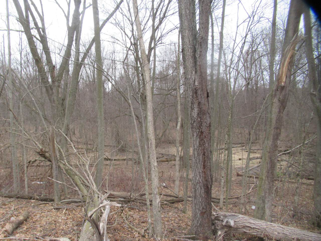 https://bt-photos.global.ssl.fastly.net/swmich/1280_boomver_1_26006683-2.jpg