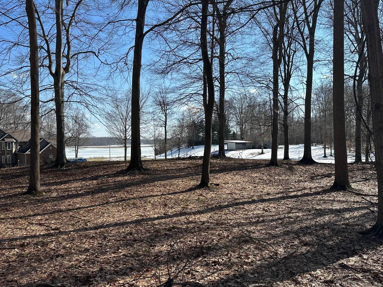 8828 Beechwood Court - Photo 1