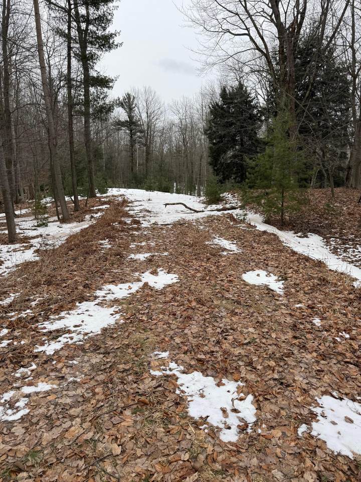  West Fox Farm Road - Photo 1