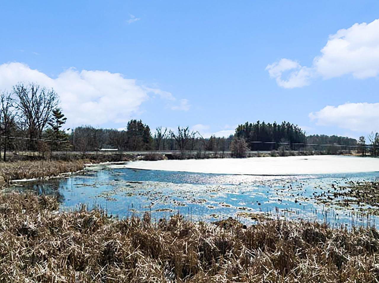  Winter Street - Photo 1