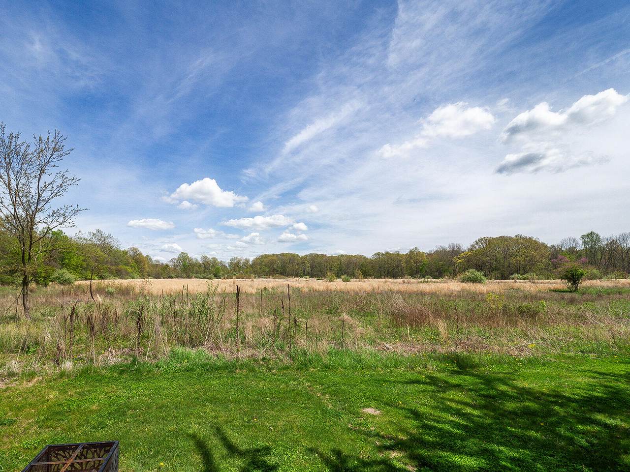 10671 California Road - Photo 1