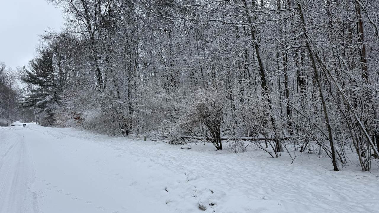 6416 Taylor Road - Photo 1