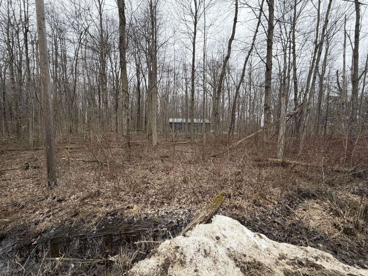 40000 BLK Sycamore Drive - Photo 1