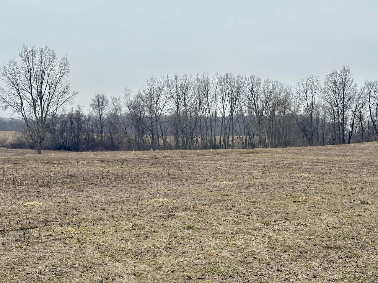 https://bt-photos.global.ssl.fastly.net/swmich/1280_boomver_1_26007989-2.jpg