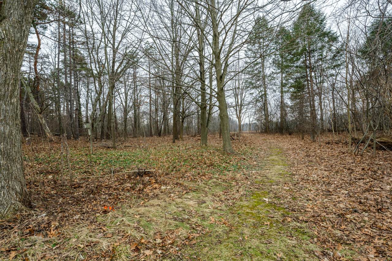 https://bt-photos.global.ssl.fastly.net/swmich/1280_boomver_1_26008062-2.jpg