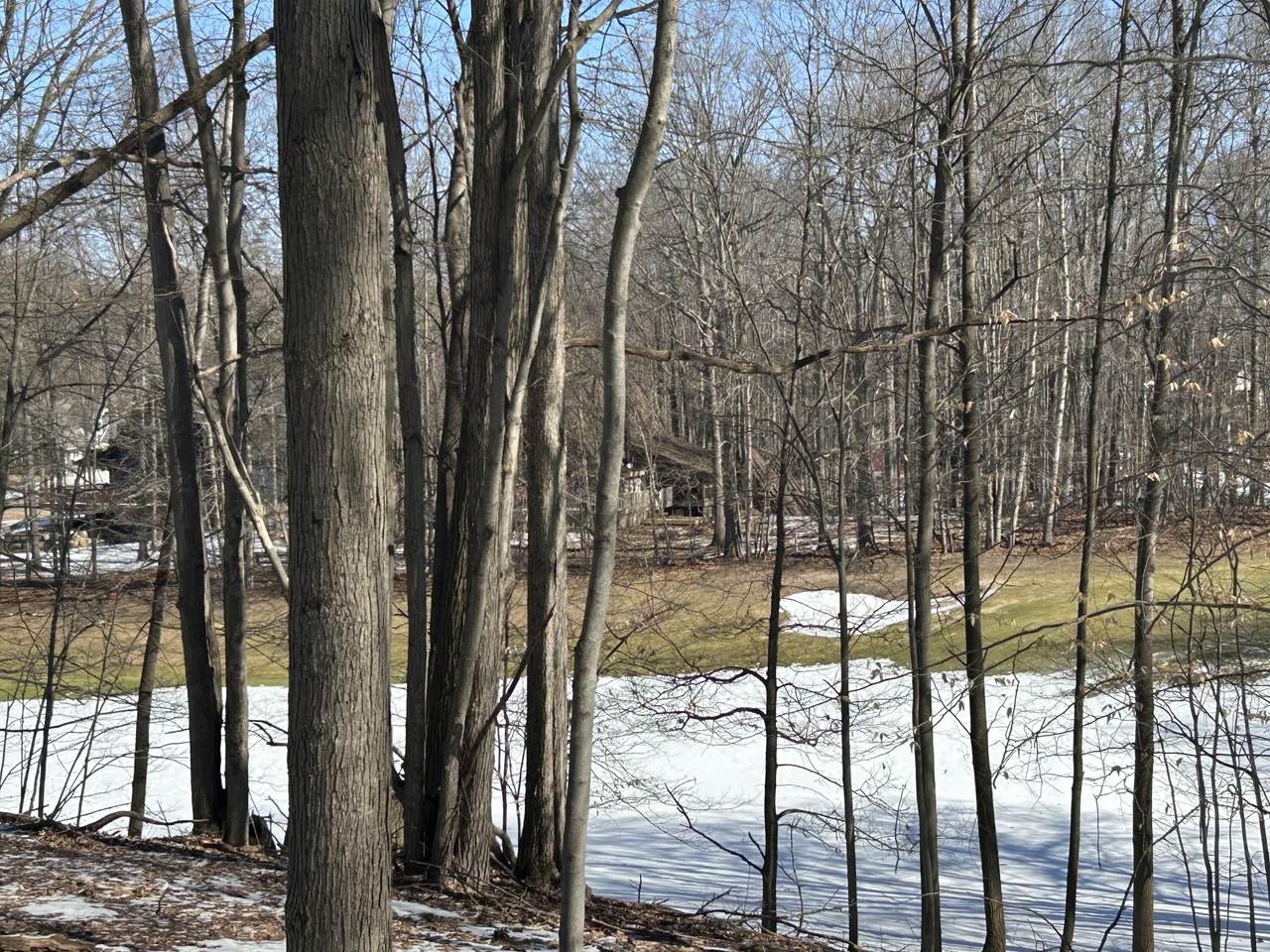 9570 Pere Marquette Drive - Photo 1