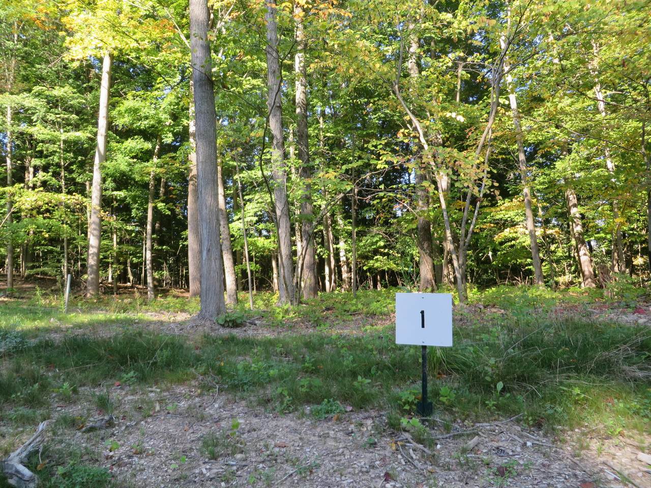 https://bt-photos.global.ssl.fastly.net/swmich/1280_boomver_1_26008544-2.jpg