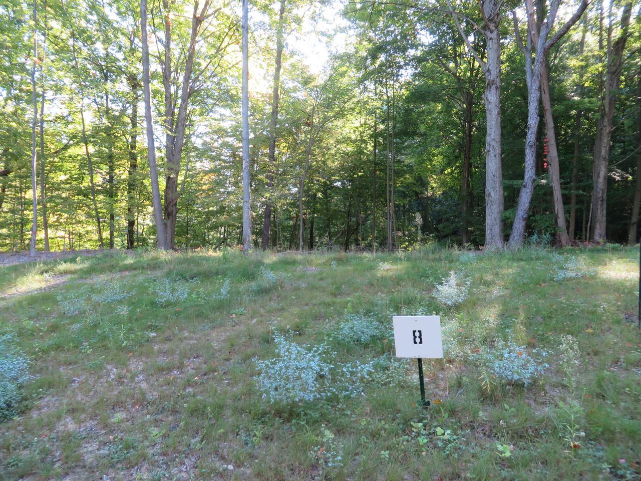https://bt-photos.global.ssl.fastly.net/swmich/1280_boomver_1_26008617-2.jpg