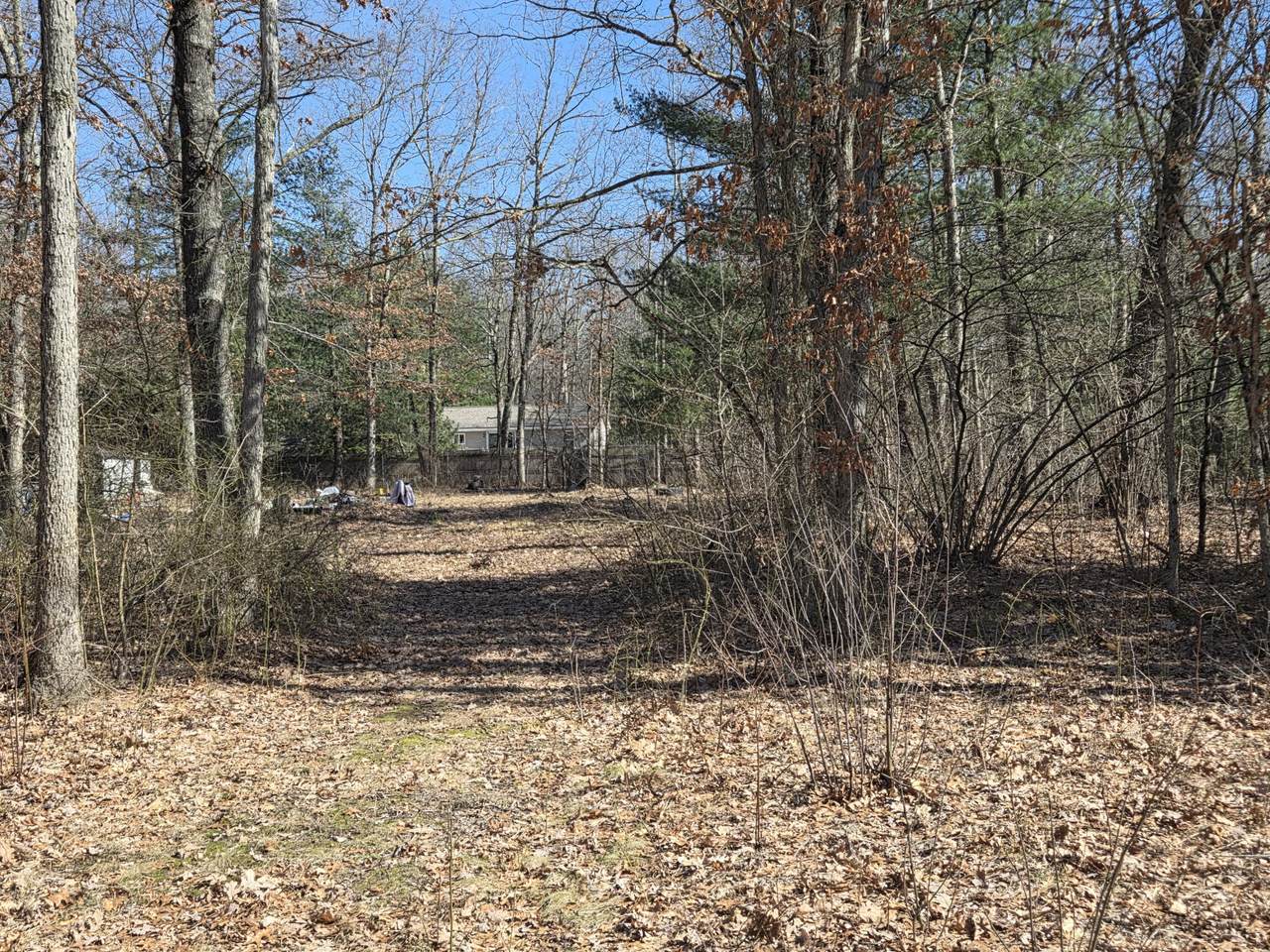 VL Grant Drive - Photo 1