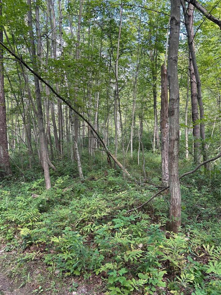 https://bt-photos.global.ssl.fastly.net/swmich/1280_boomver_1_26008881-2.jpg