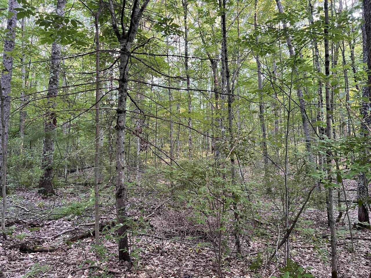 https://bt-photos.global.ssl.fastly.net/swmich/1280_boomver_1_26009223-2.jpg