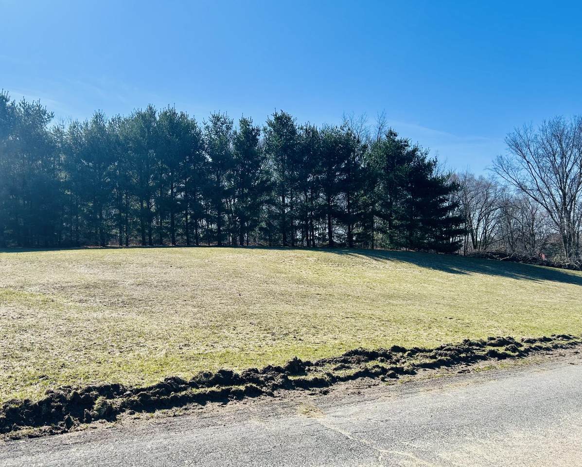 2234 Crest Haven Boulevard - Photo 1