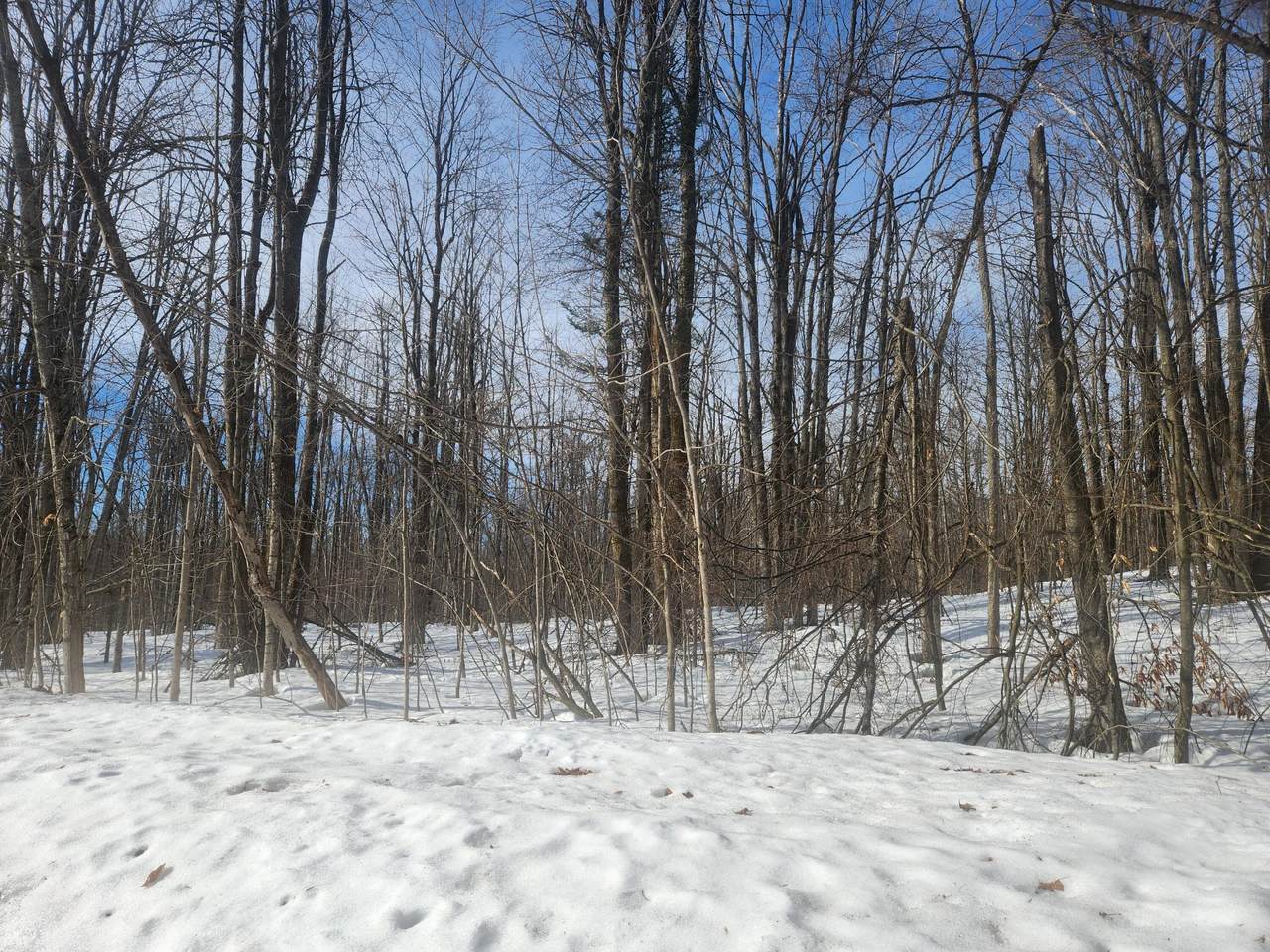 https://bt-photos.global.ssl.fastly.net/swmich/1280_boomver_1_26009564-2.jpg