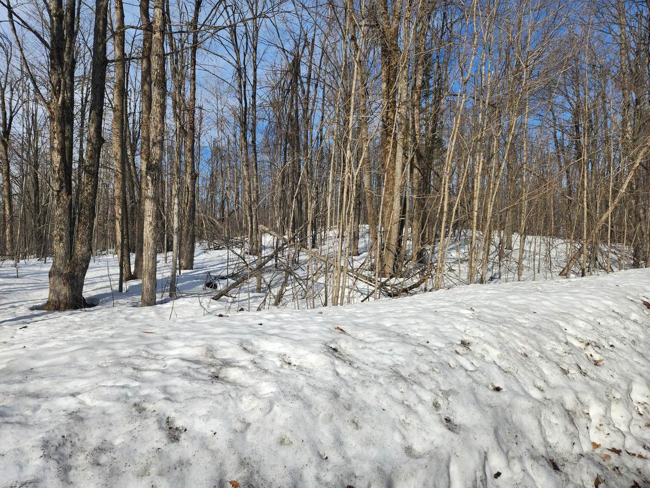 https://bt-photos.global.ssl.fastly.net/swmich/1280_boomver_1_26009564-2.jpg