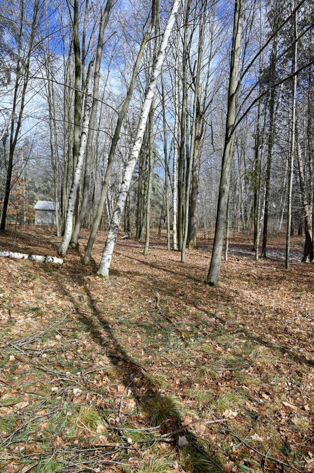 https://bt-photos.global.ssl.fastly.net/swmich/1280_boomver_1_26009724-2.jpg
