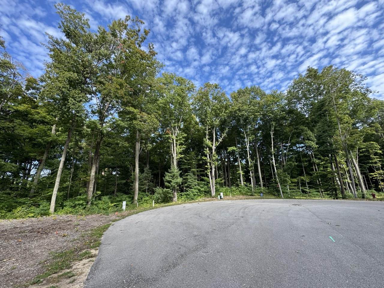 14606 Crest View Court - Photo 1