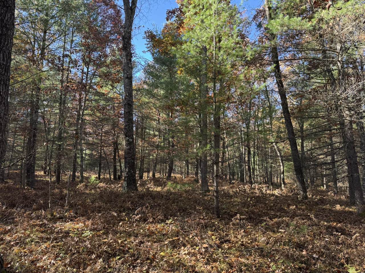 Parcel 2 County Line Road - Photo 1
