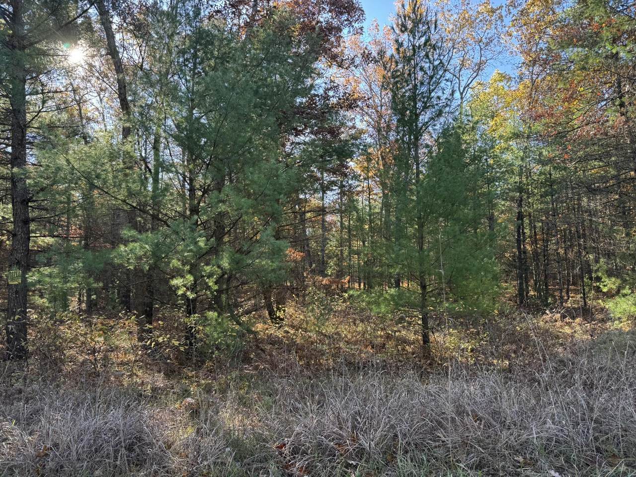 https://bt-photos.global.ssl.fastly.net/swmich/1280_boomver_1_26009978-2.jpg