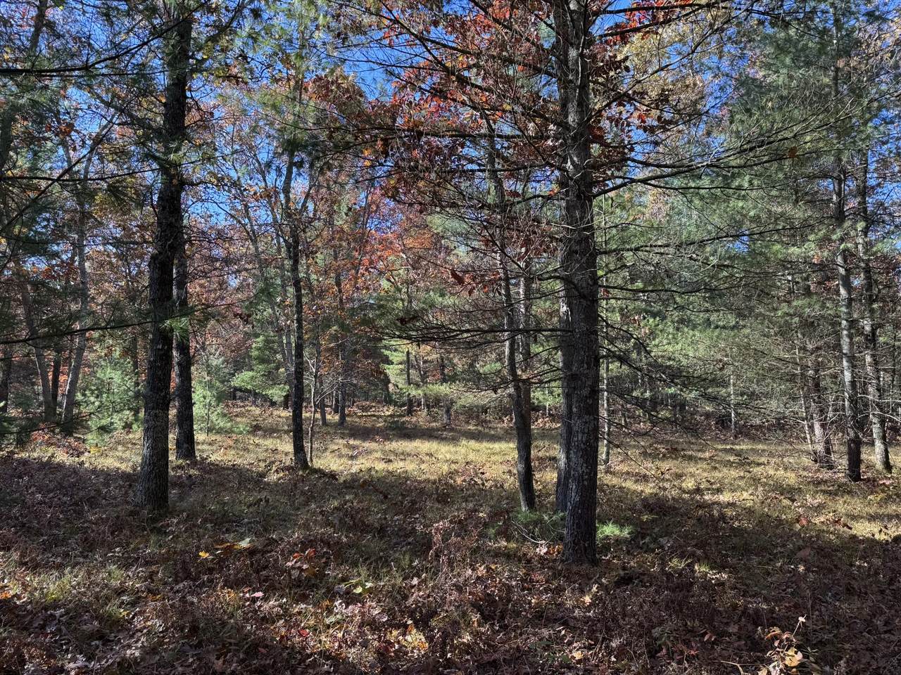 Parcel 3 County Line Road - Photo 1