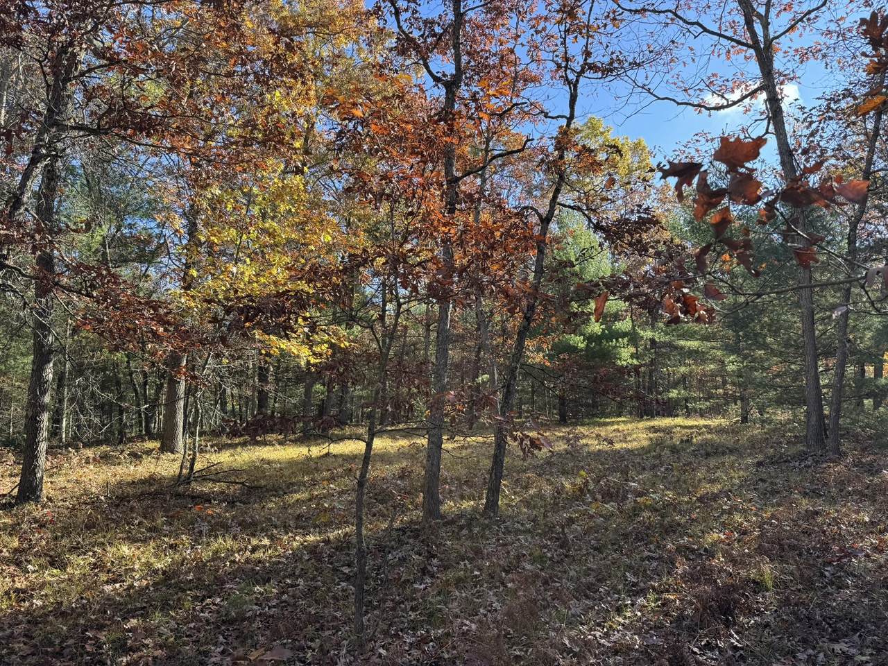Parcel 4 County Line Road - Photo 1