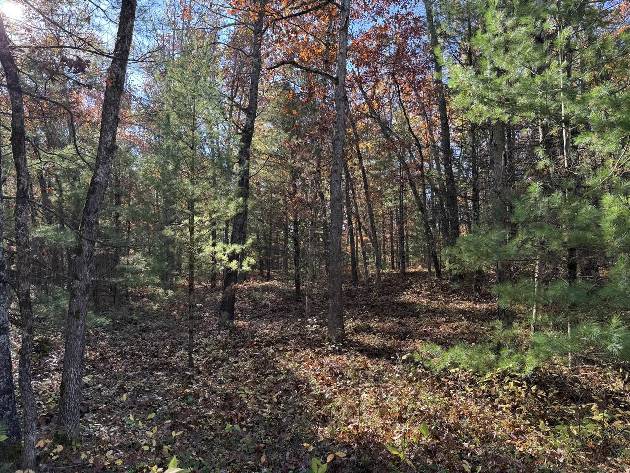 Parcel 5 County Line Road - Photo 1