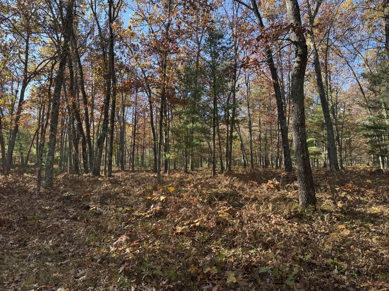 https://bt-photos.global.ssl.fastly.net/swmich/1280_boomver_1_26009981-2.jpg