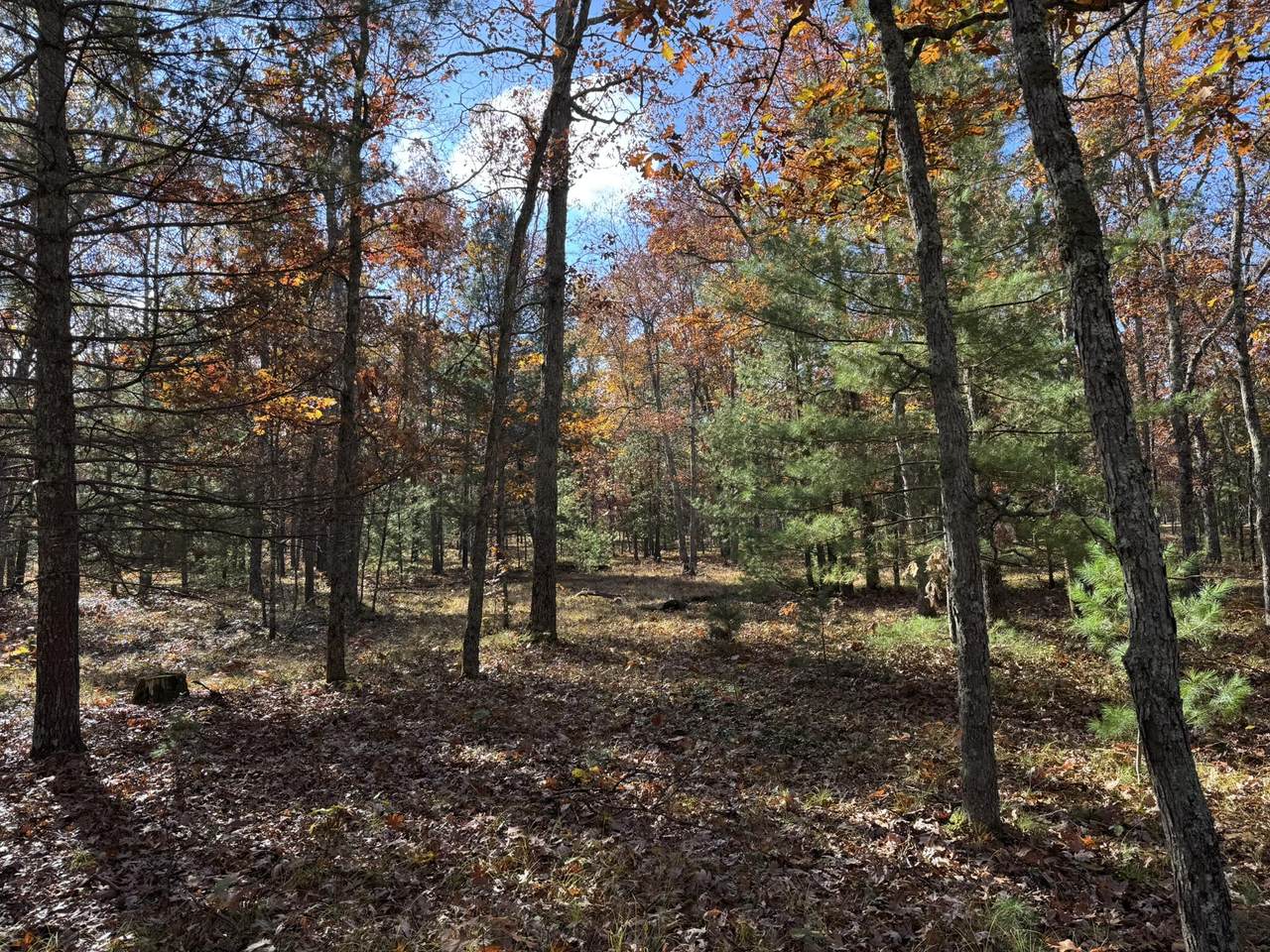 Parcel 6 County Line Road - Photo 1