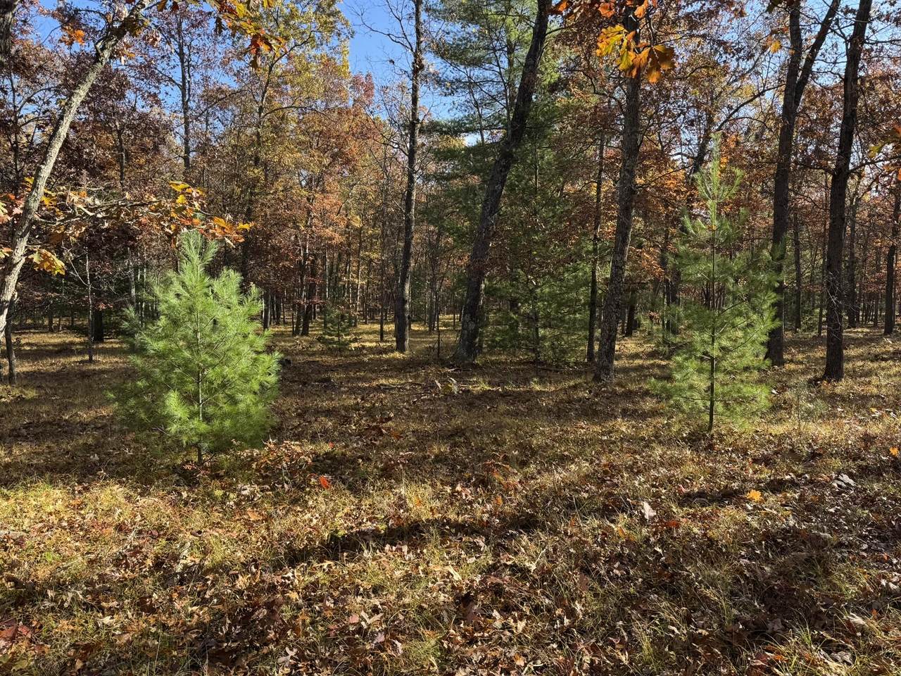 Parcel 7 County Line Road - Photo 1