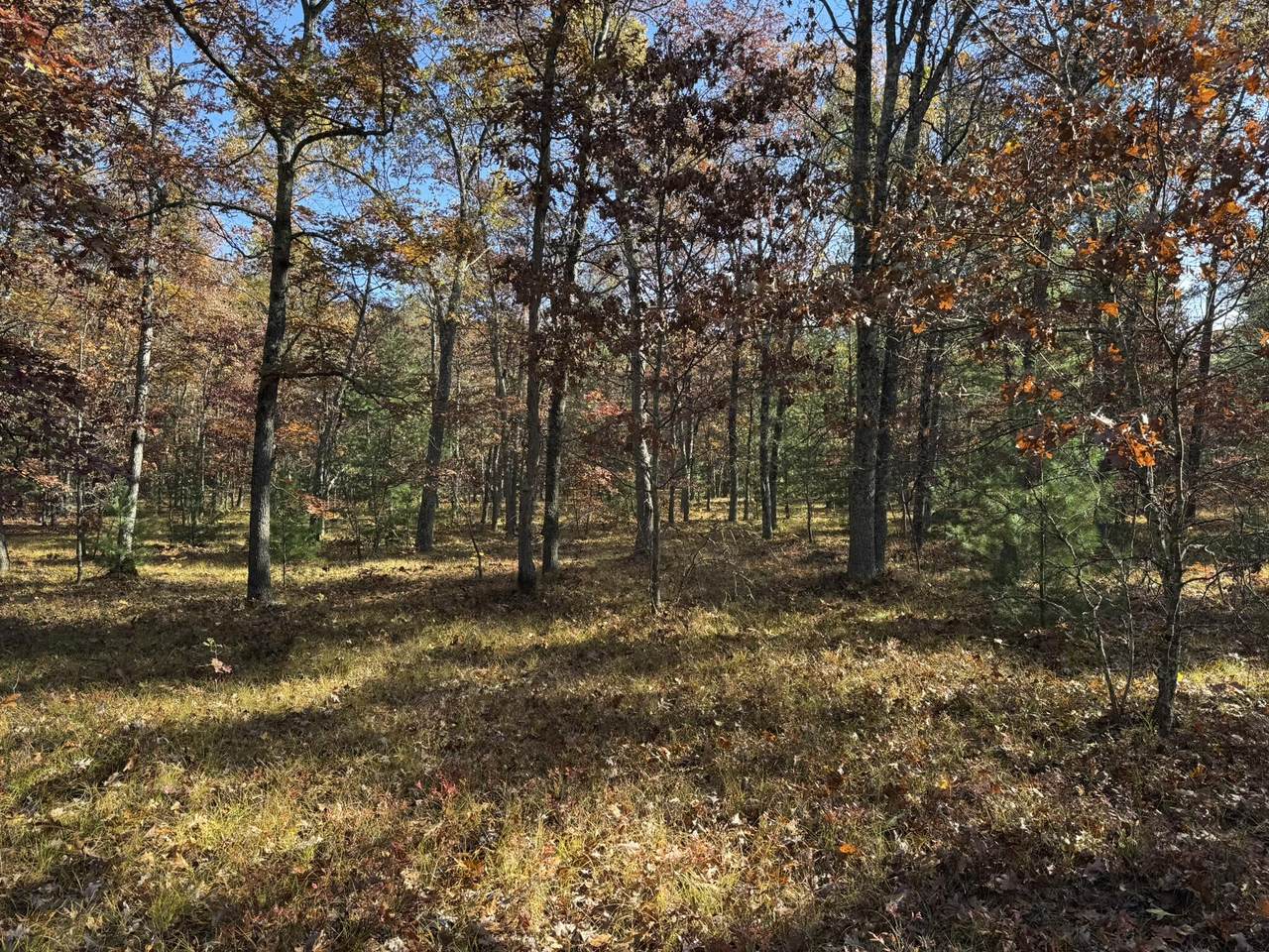 https://bt-photos.global.ssl.fastly.net/swmich/1280_boomver_1_26009984-2.jpg