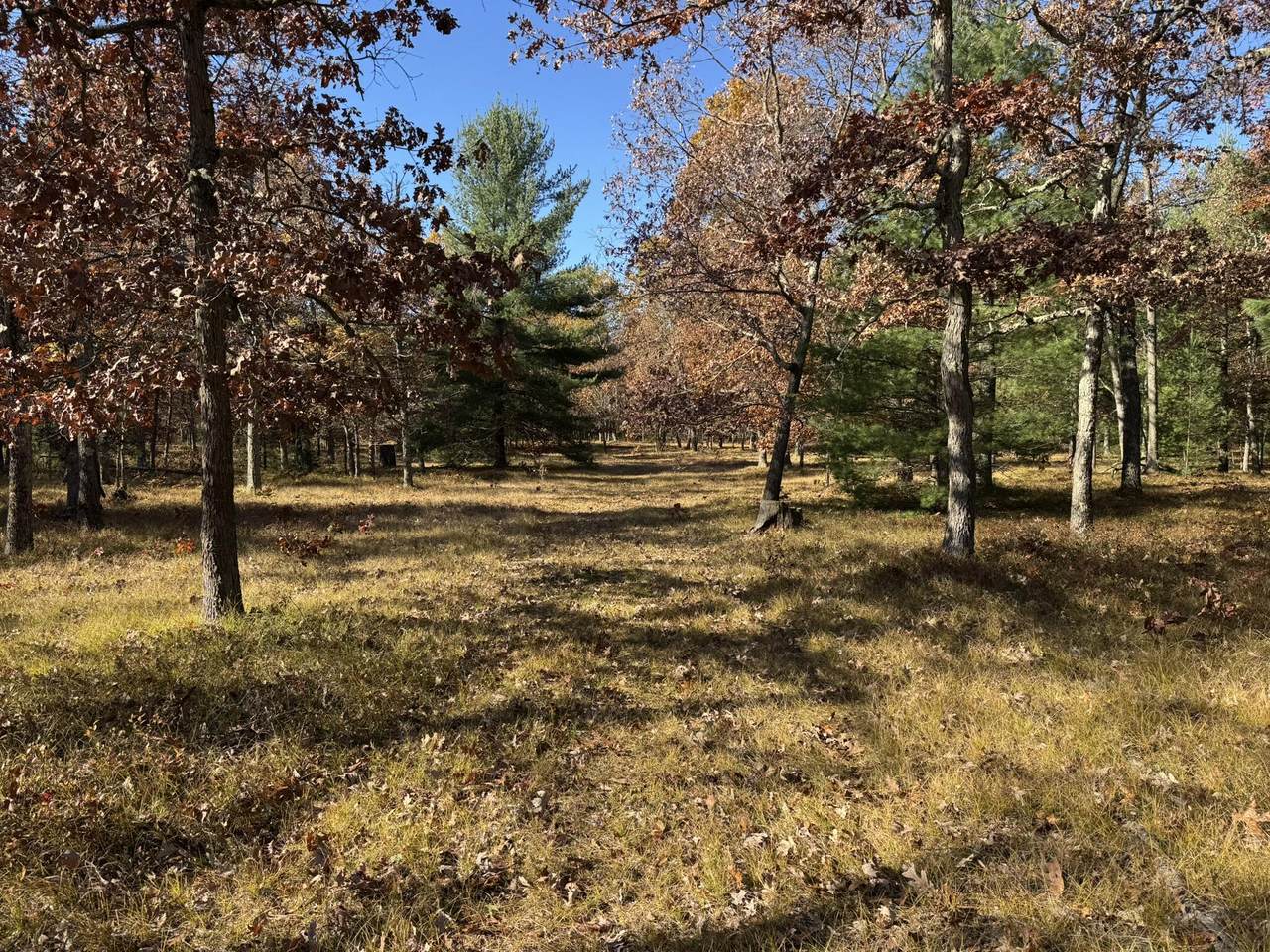 Parcel 8 County Line Road - Photo 1