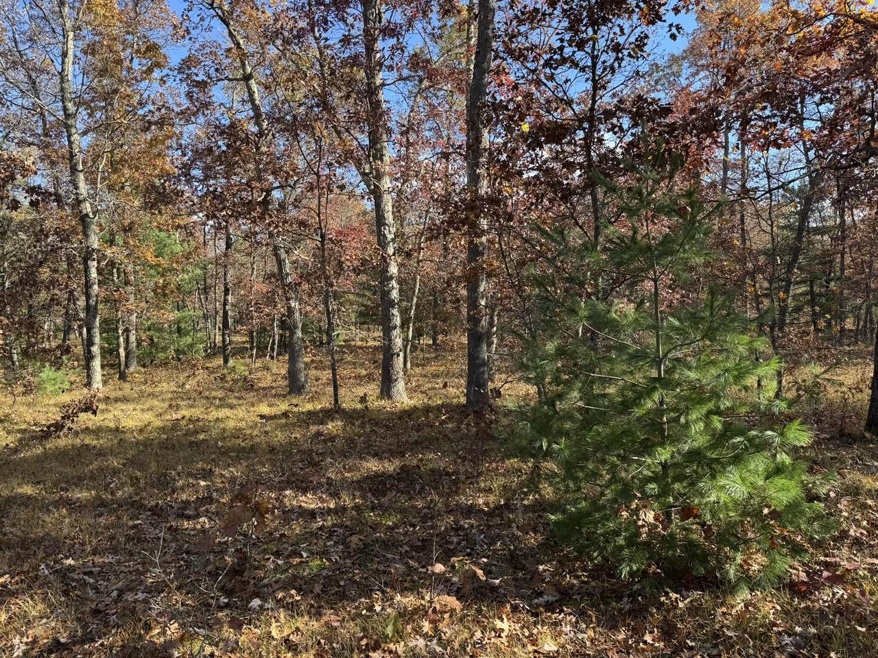 Parcel 9 County Line Road - Photo 1