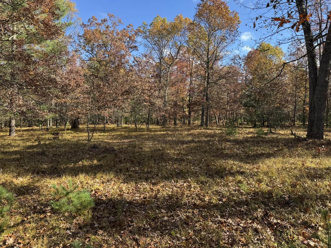 Parcel 11 County Line Road - Photo 1