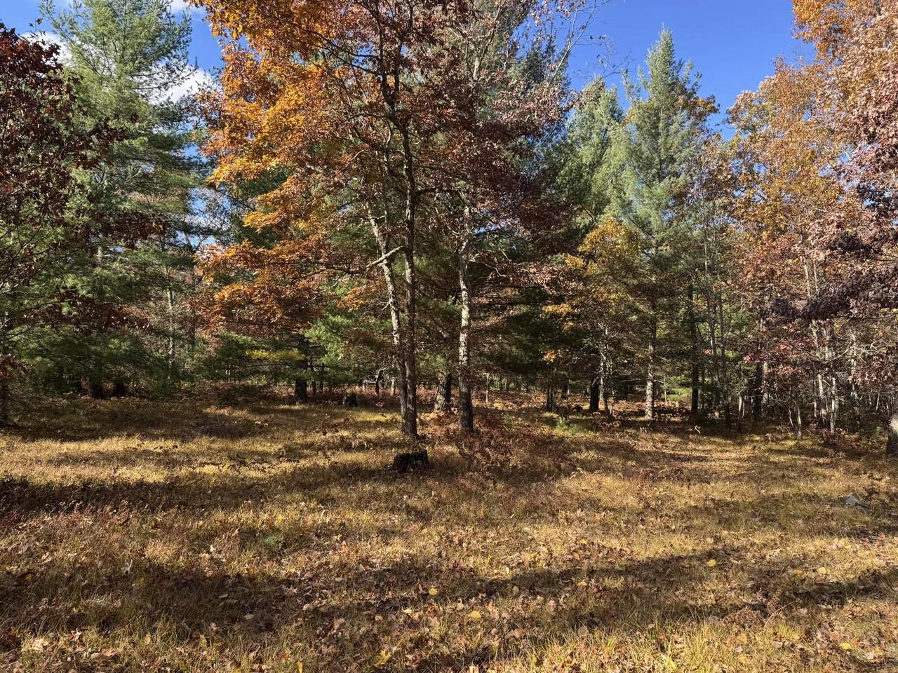 Parcel 12 County Line Road - Photo 1