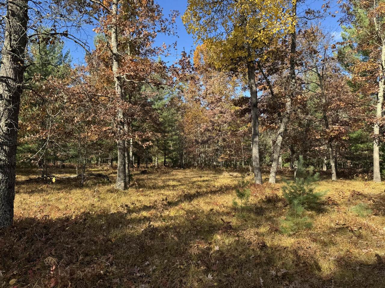 https://bt-photos.global.ssl.fastly.net/swmich/1280_boomver_1_26009989-2.jpg